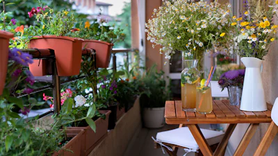 Tuinieren op een balkon: er kan meer dan je misschien denkt!