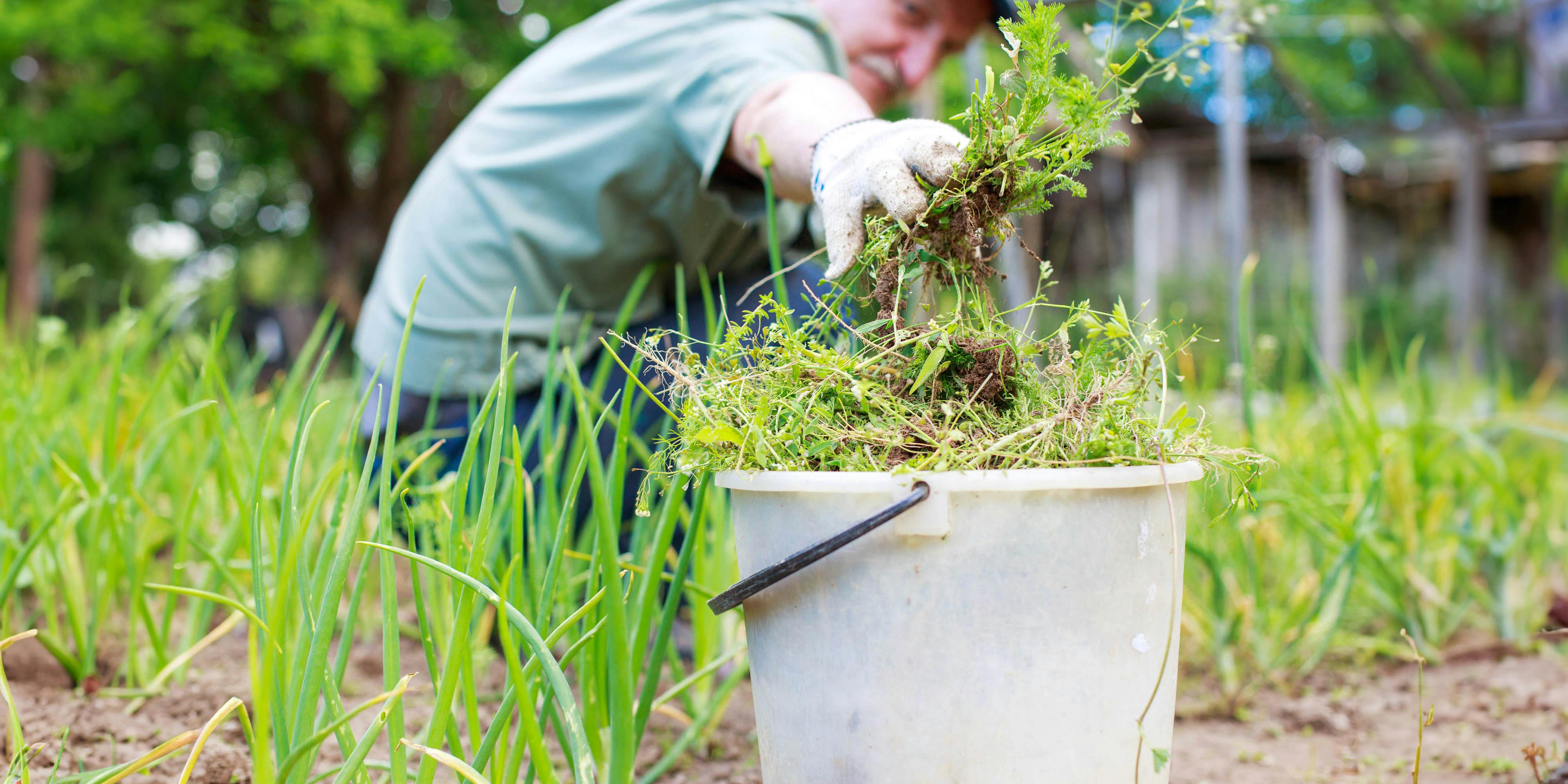 Groene alternatieven om onkruid te bestrijden