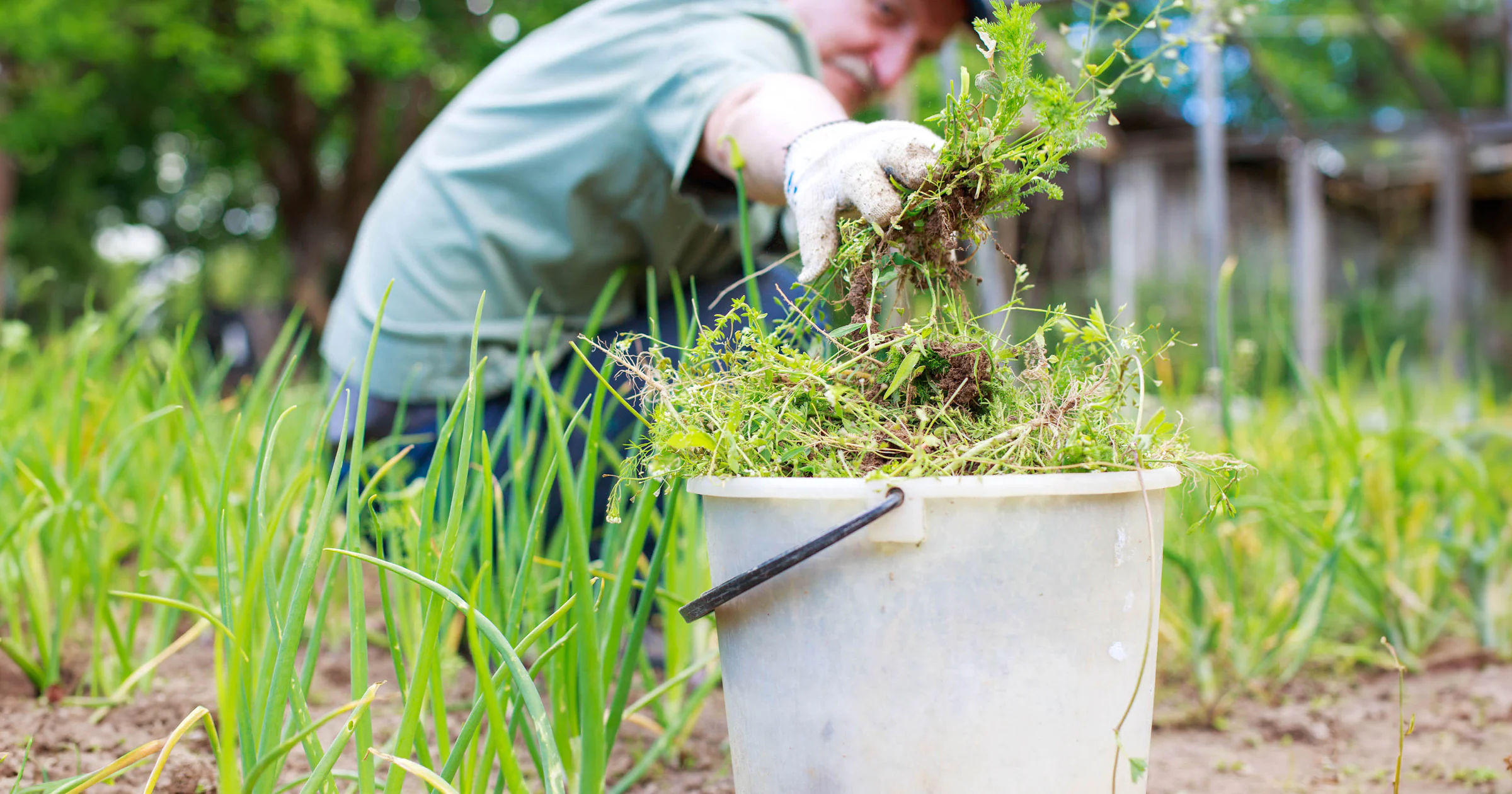 Groene alternatieven om onkruid te bestrijden