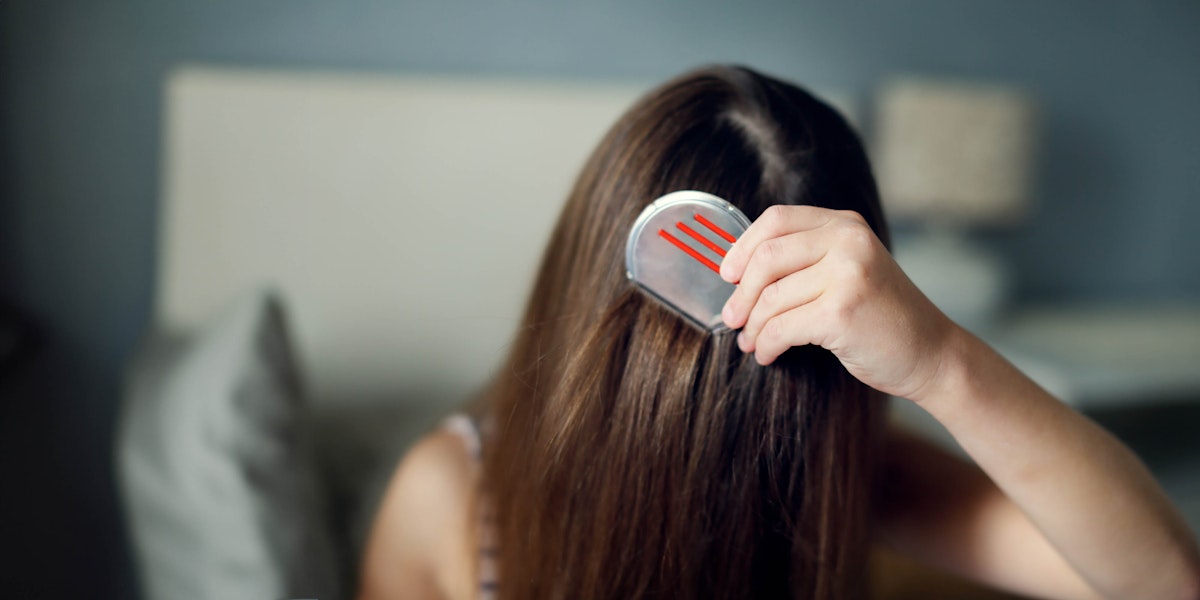 How to Recognize, Treat, and Prevent Head Lice in Children World Today News