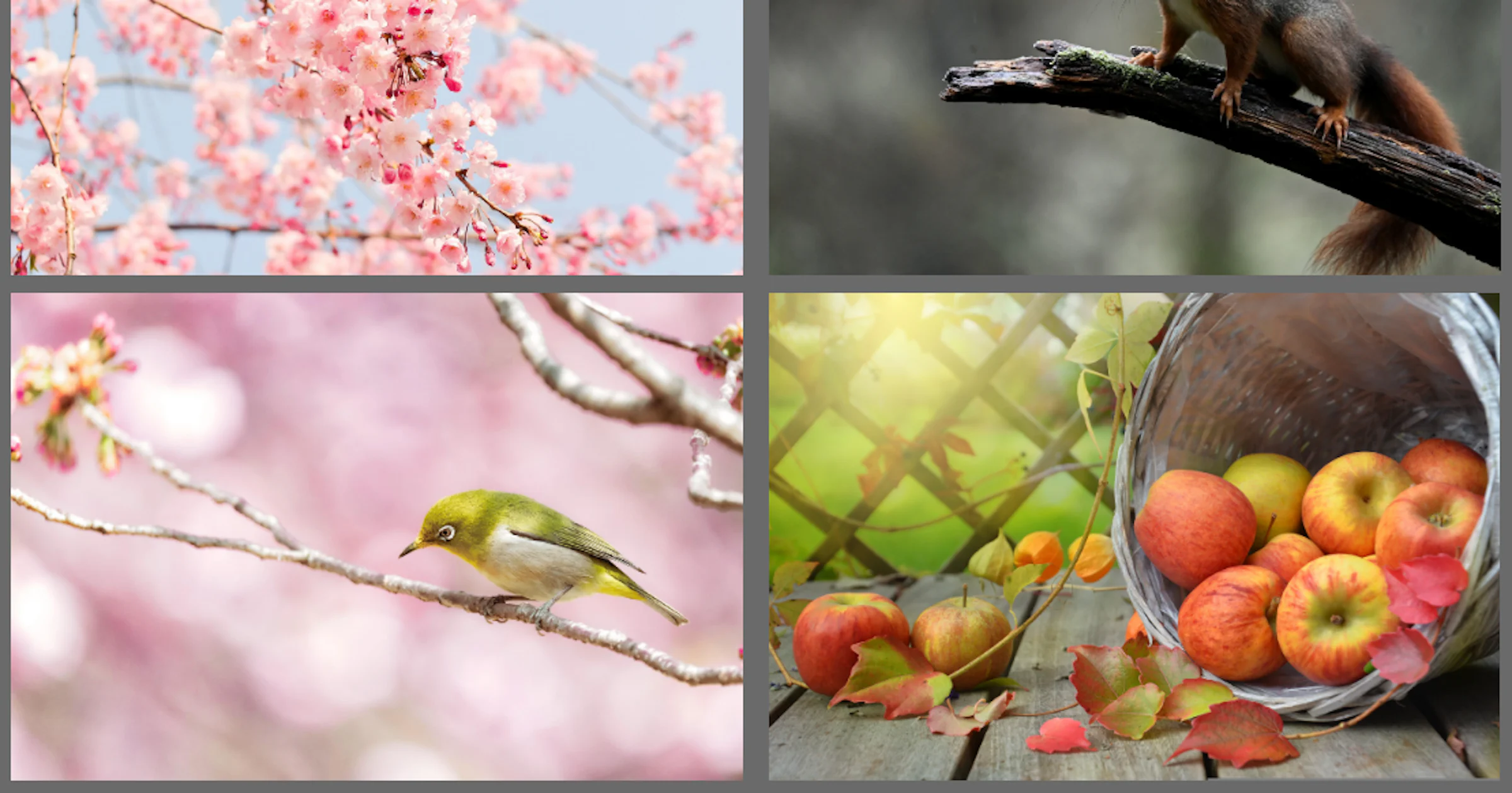 Darktable: bewerk je foto's met hét gratis Lightroom-alternatief