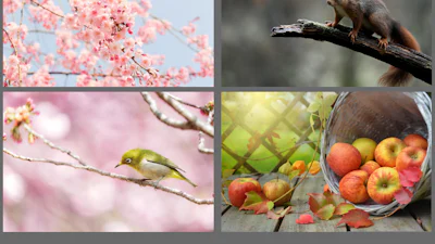 Darktable: bewerk je foto's met hét gratis Lightroom-alternatief