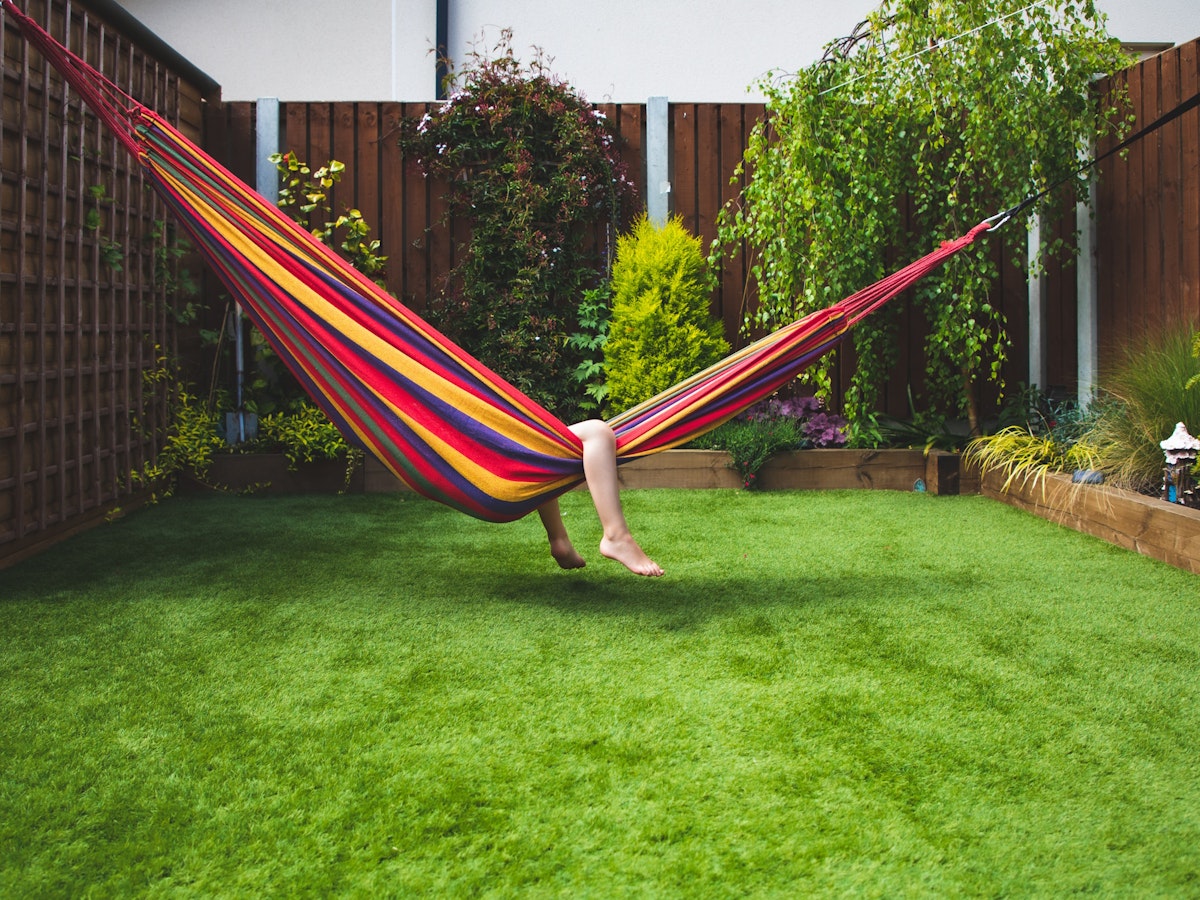 Sopravvivenza: 10 consigli per un’estate di successo in giardino Sopravvivenza: 10 consigli per un’estate di successo in giardino