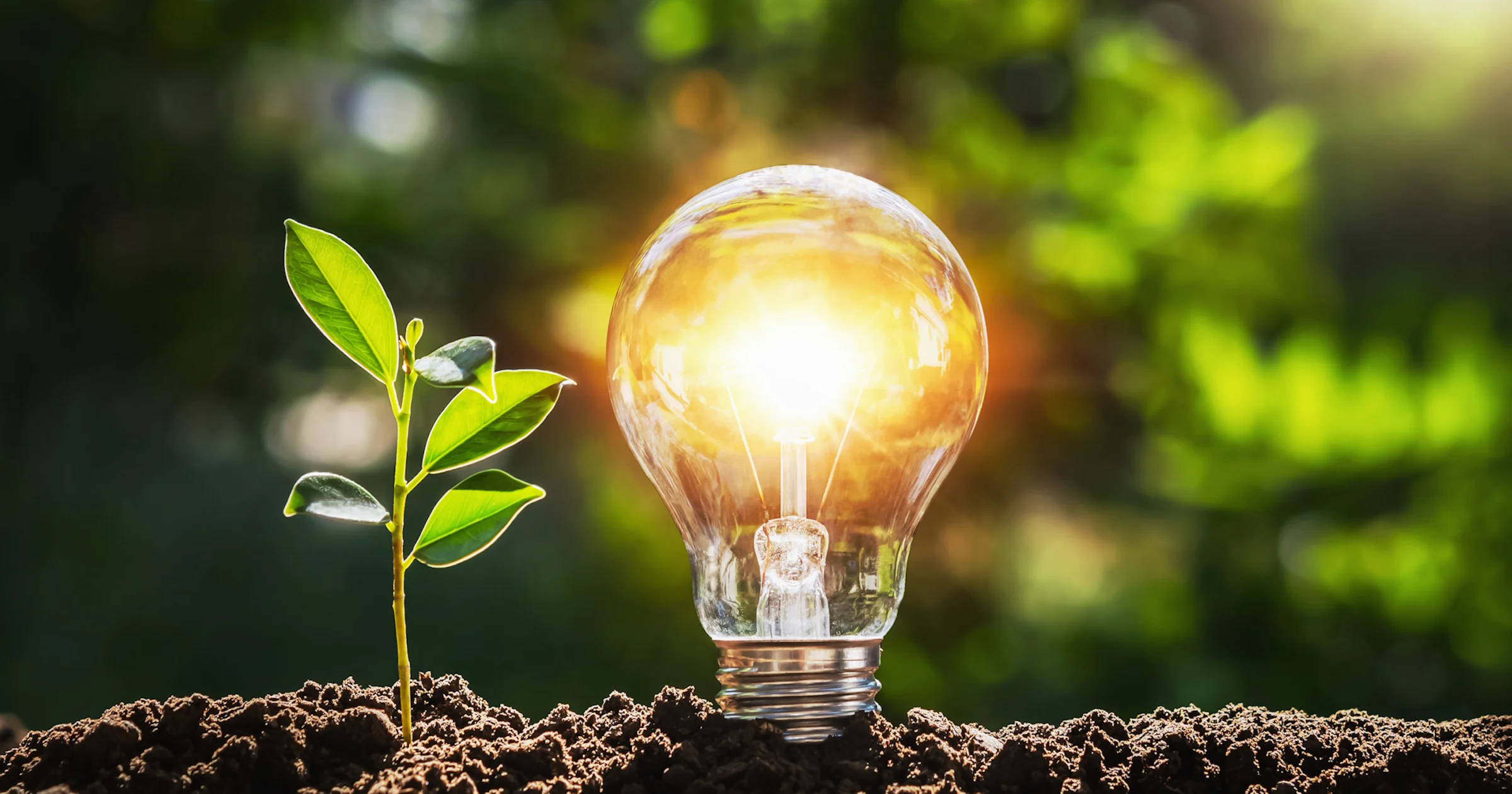 Direct energie besparen zonder grote investeringen – ook in de zomer!