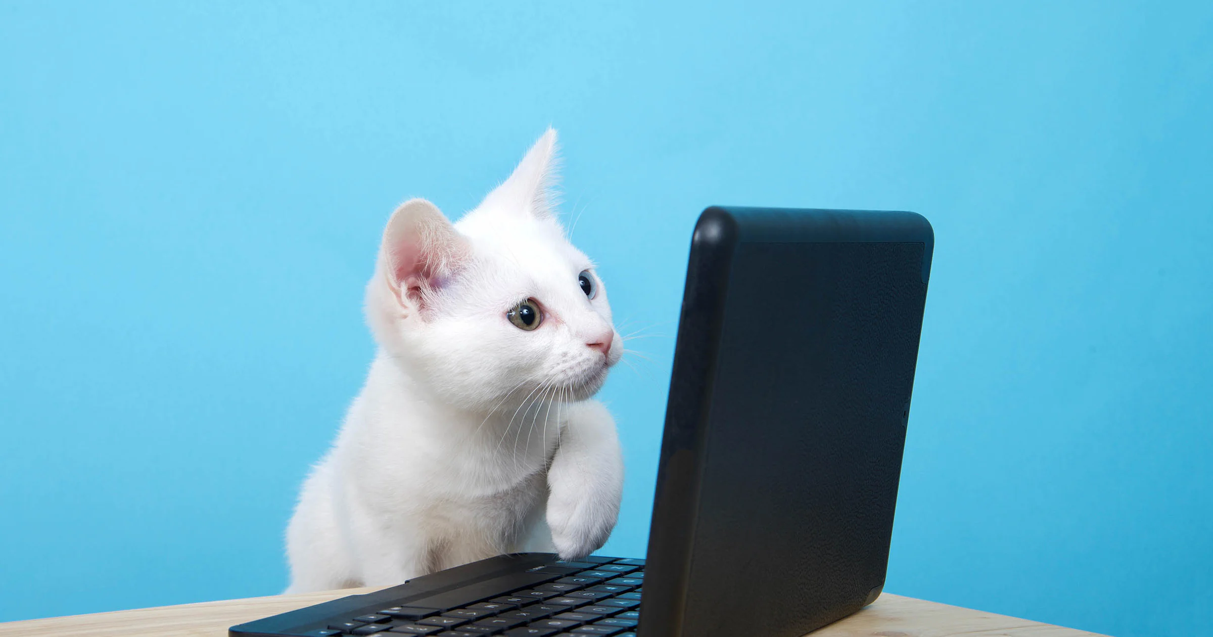 3 oplossingen voor een lawaaiige laptop