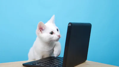 3 oplossingen voor een lawaaiige laptop