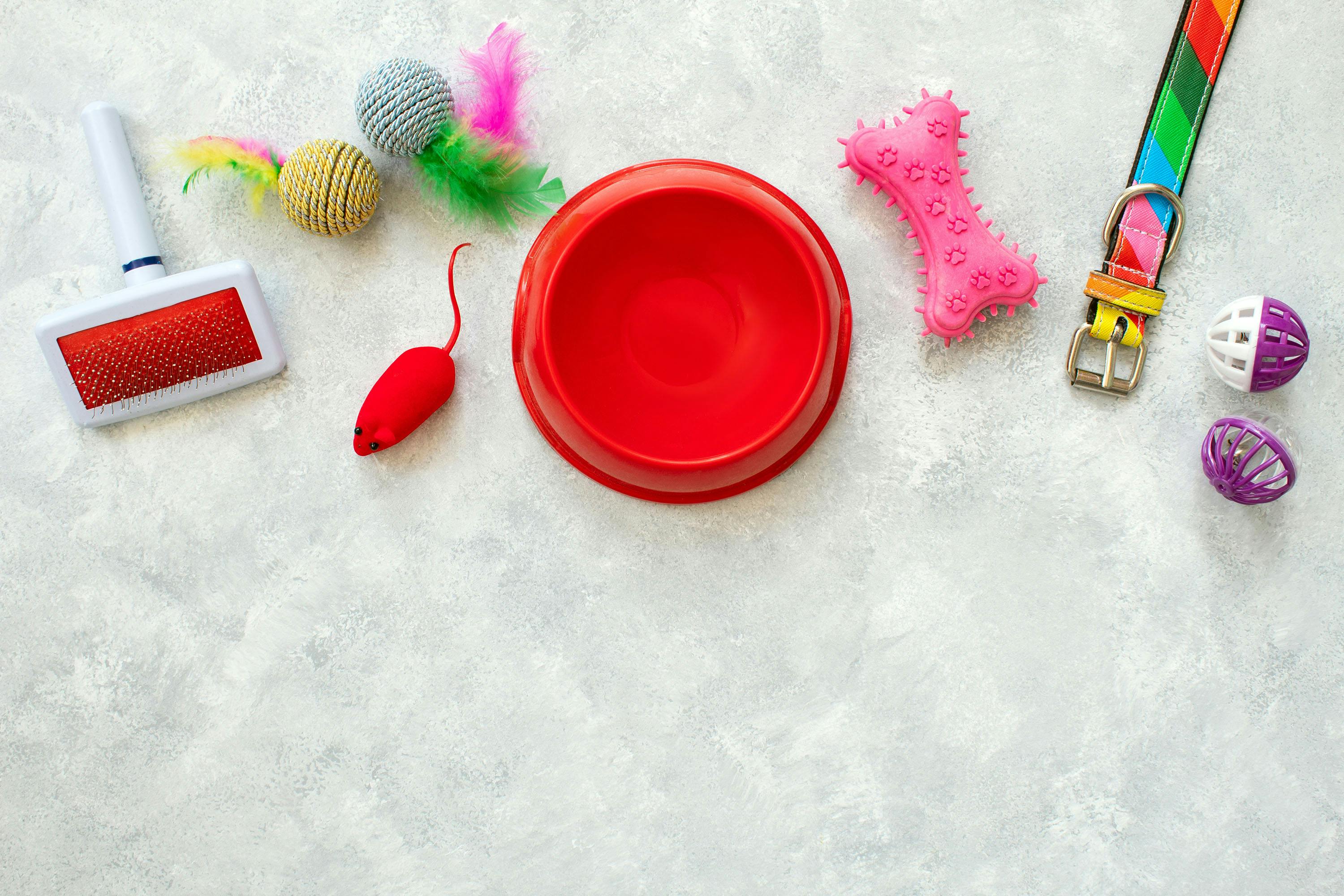 Even geen zin om je huisdier te verzorgen of vermaken? Dan moet je deze gadgets hebben!