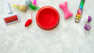 Even geen zin om je huisdier te verzorgen of vermaken? Dan moet je deze gadgets hebben!