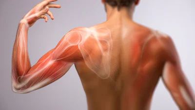 Hoe werkt spieropbouw en hoe haal je het maximale eruit?