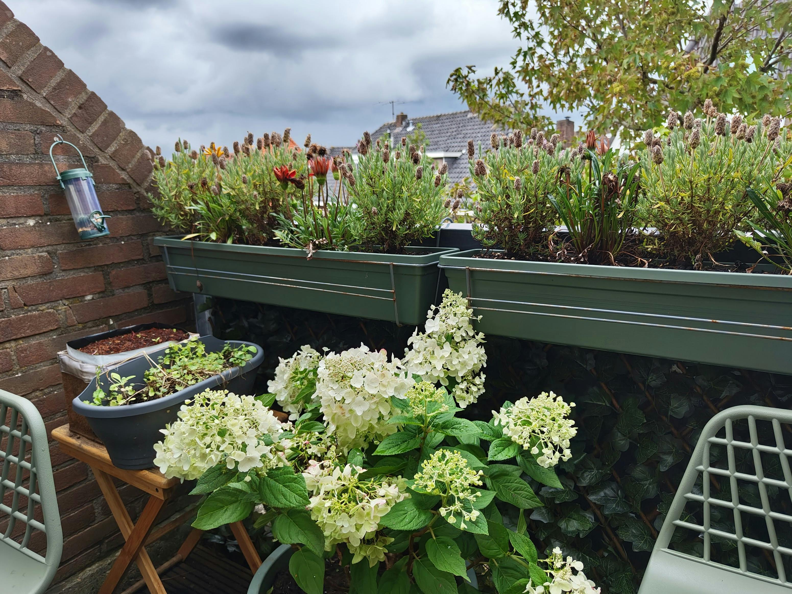 Een foto gemaakt met de Nothing Phone (2)