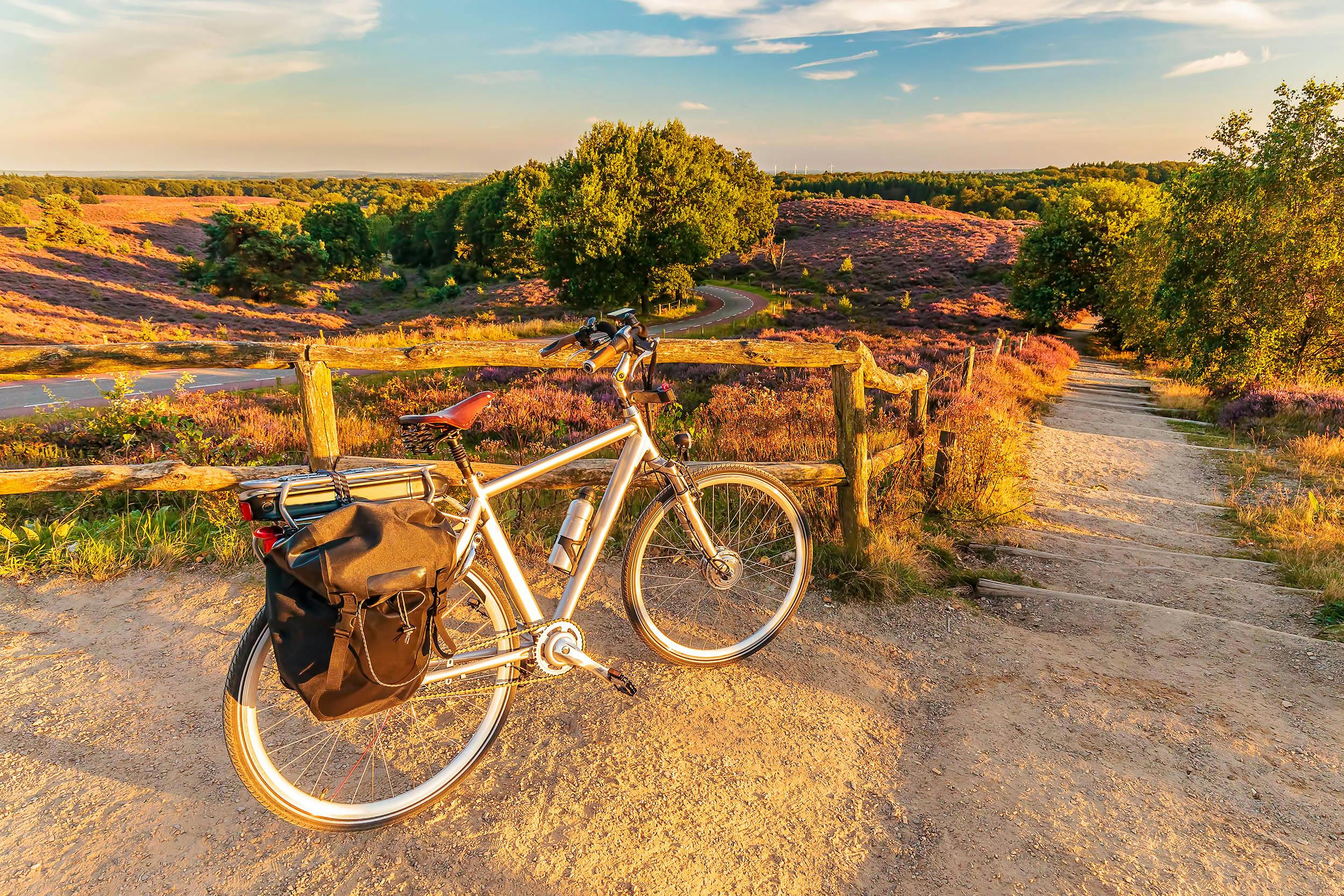 Fietsen op de Veluwe