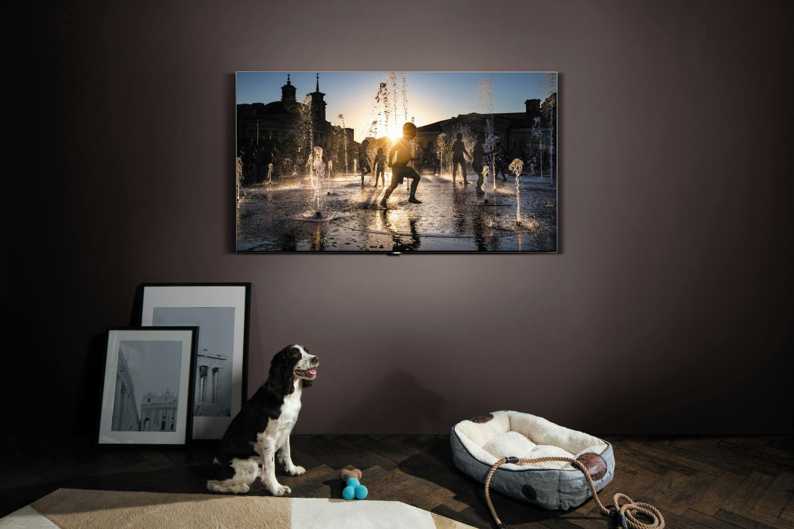 Media has no description