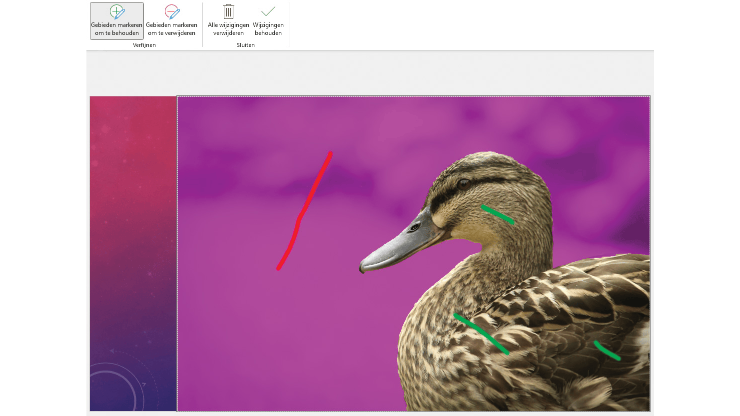 Met rode en groene strepen geef je aan wat verwijderd en wat behouden moet worden.