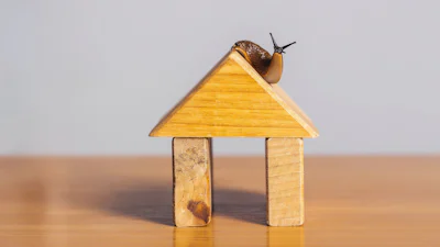 🐌 Slakken in huis? Zo kom je van deze slijmerige indringers af!