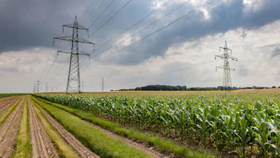 Stroomnetwerk overbelast: dit is wat de overheid eraan doet