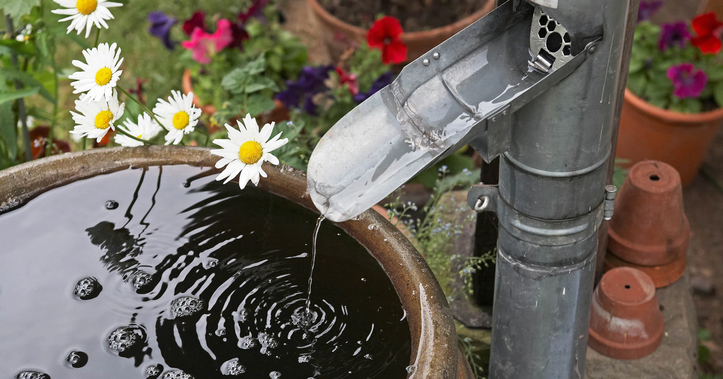 Waarom iedereen een regenton in de tuin zou moeten hebben