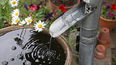 Waarom iedereen een regenton in de tuin zou moeten hebben