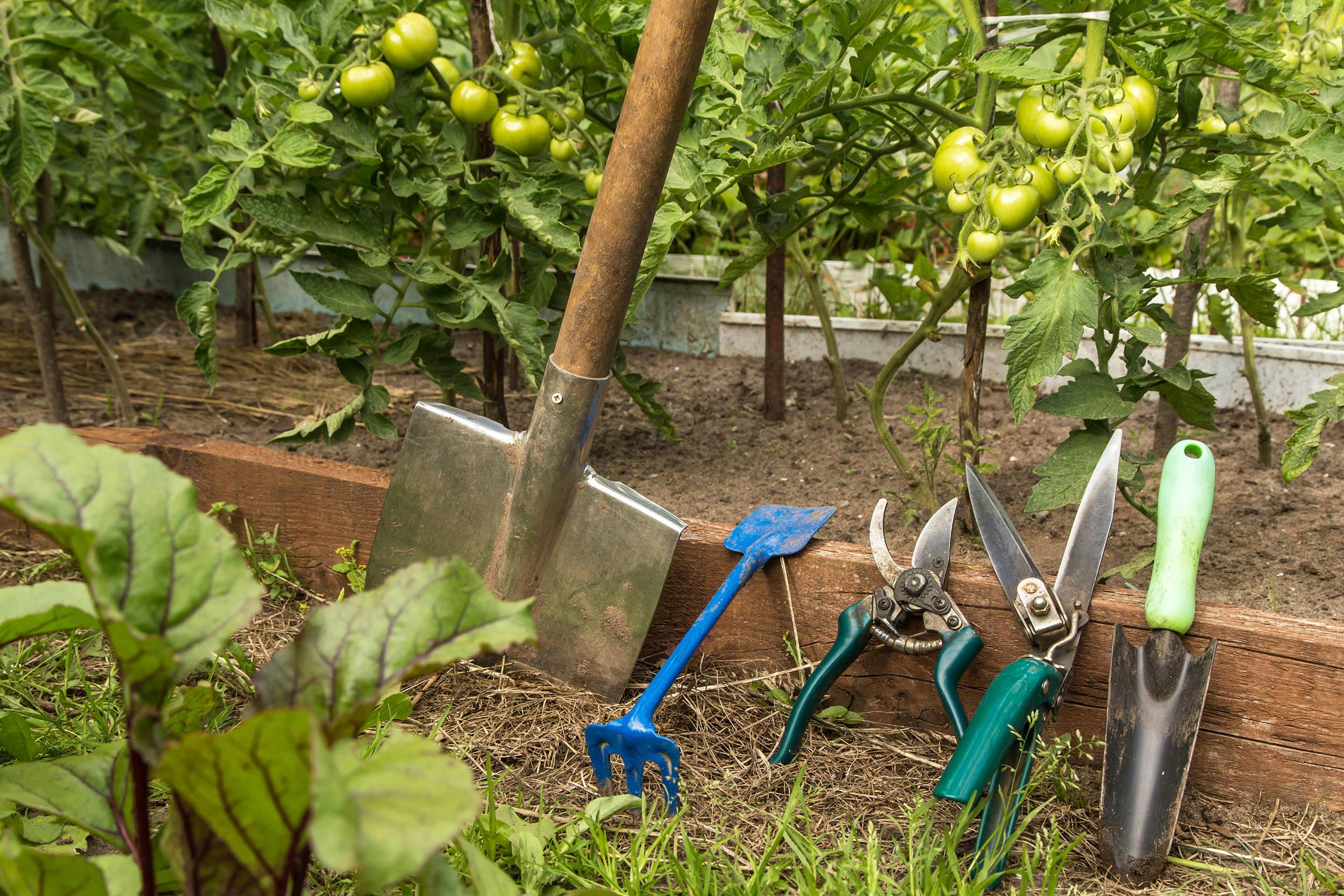  Snoeien, schoffelen en ... schoonmaken! Zo houd je je tuingereedschap in topvorm