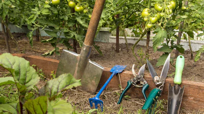 Snoeien, schoffelen en ... schoonmaken! Zo houd je je tuingereedschap in topvorm
