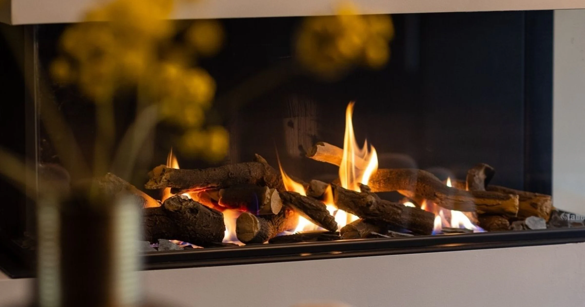 🔥 Alternatieven voor de gashaard: gezelligheid zónder aardgas