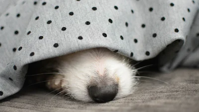 Maak bijzondere foto's met deze hightech apps