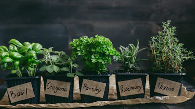 Zo houd je je kruidenplantje uit de supermarkt in leven