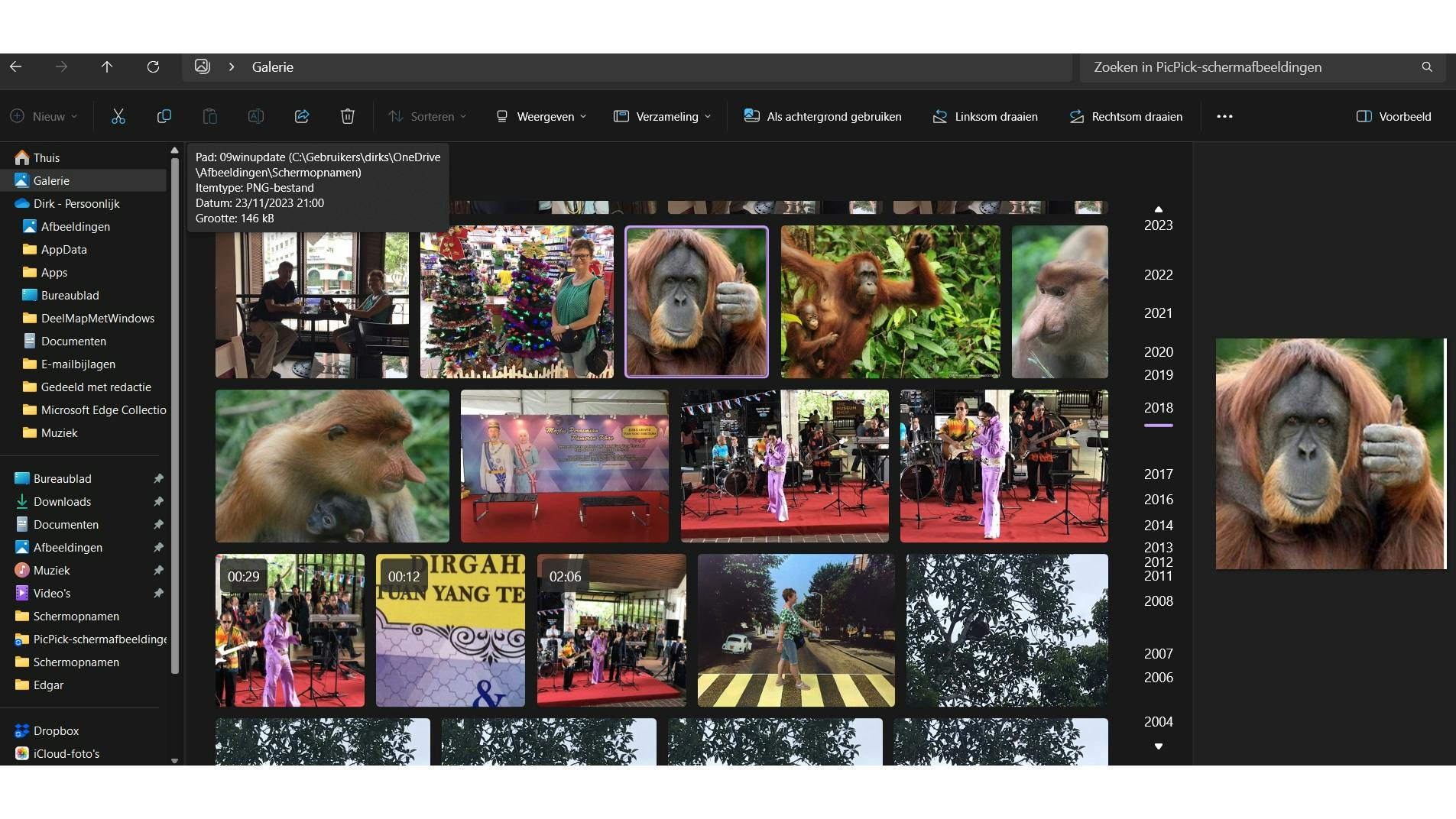 Nieuw in Windows Verkenner is Galerie die alle foto’s op de pc en OneDrive toont.