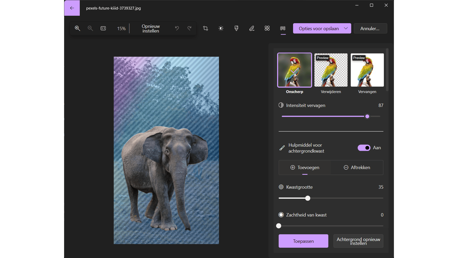 Je kunt de achtergrond vervagen, verwijderen of vullen met een egale kleur.
