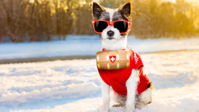 🏂 Binnenkort op wintersport? Check je reisverzekering!