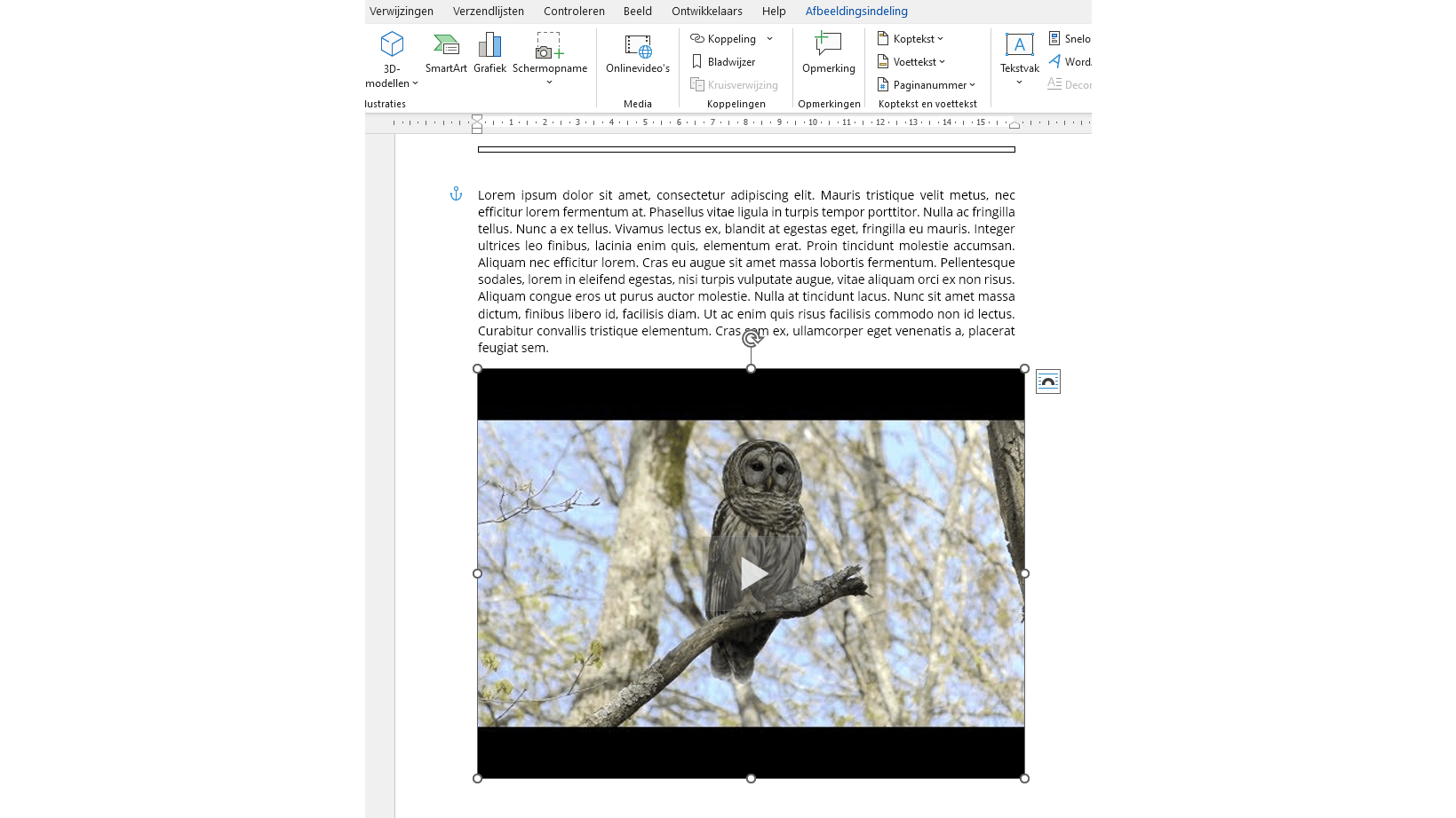 Klik op de afspeelknop om het filmpje te starten.