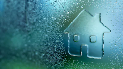 Regen gebruiken om te besparen op leidingwater: zo doe je dat