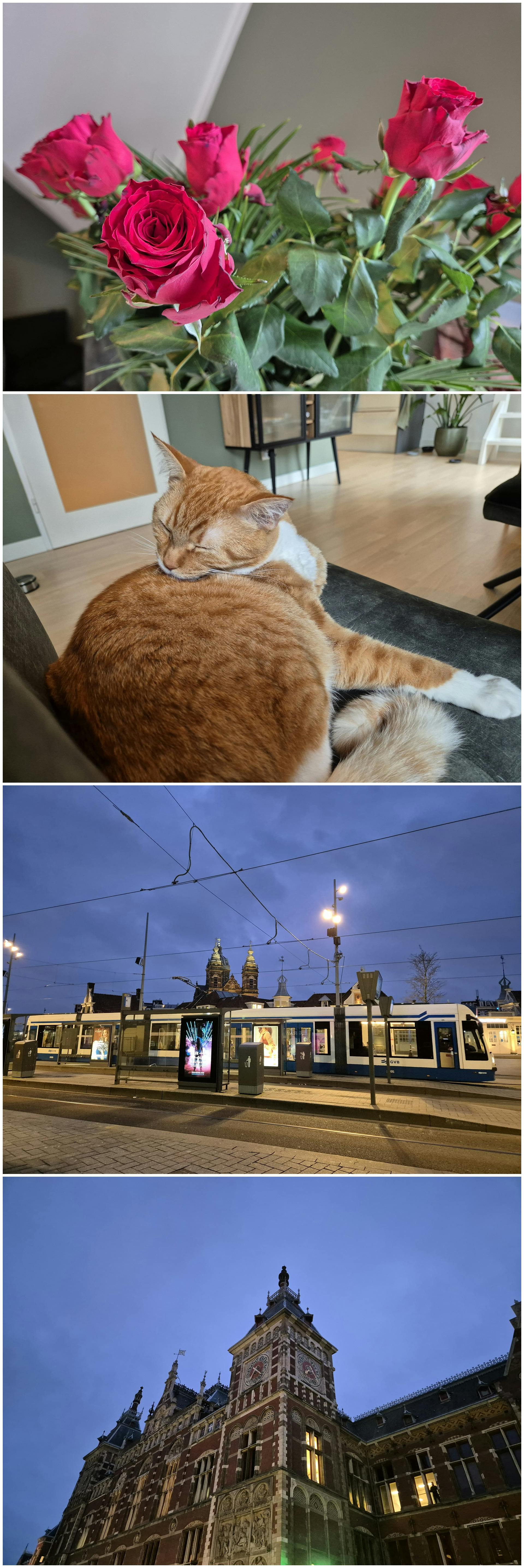 De hoofdcamera schiet erg fraaie foto's.