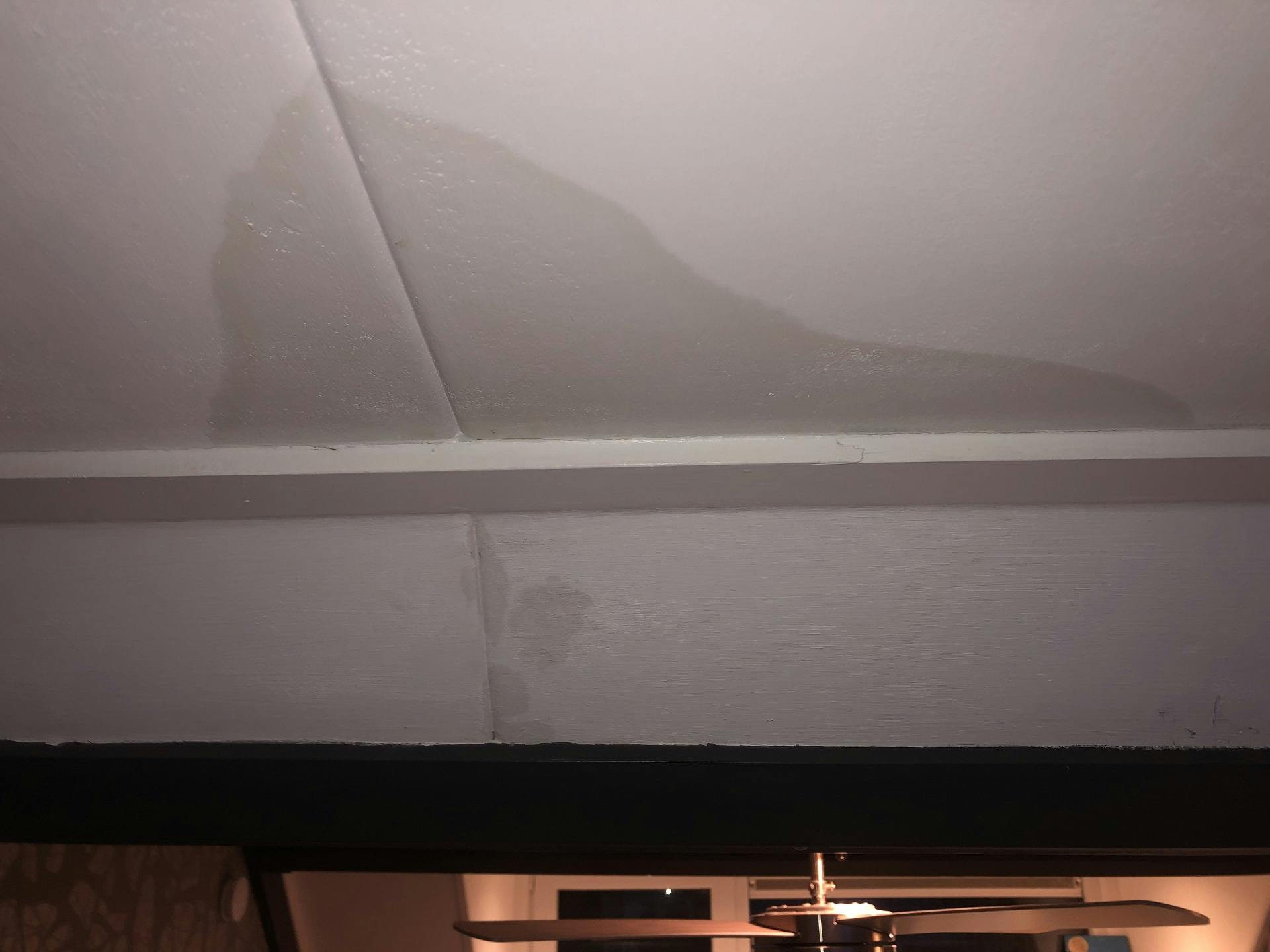 Beschadigde gipsplaten door daklekkage