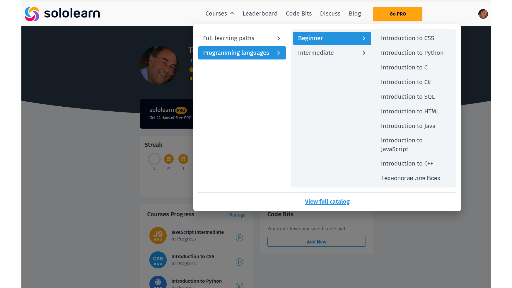 De cursussen in Sololearn zijn meestal opgedeeld in behapbare, interactieve deellessen.