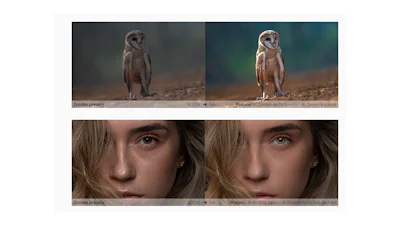 📸 Foto’s bewerken met AI? Wij hebben 15 gratis presets voor je!