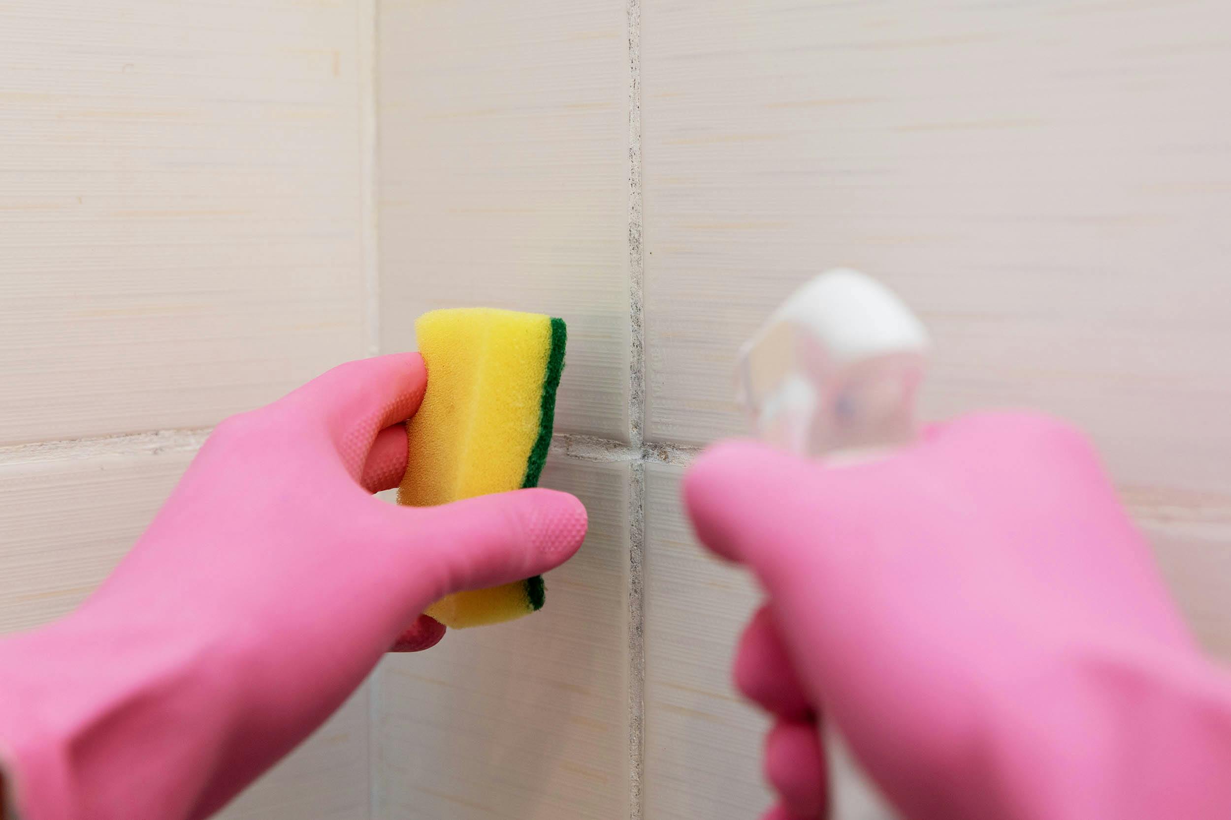 Driekwart jonge gezinnen heeft schimmel in huis, maar élke woning bevat schimmel