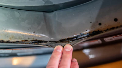 Vetluis in je wasmachine? Zo kom je er vanaf!