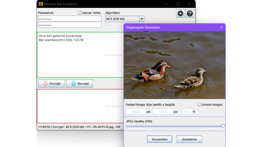 Een onschuldig plaatje met een versleutelde boodschap.