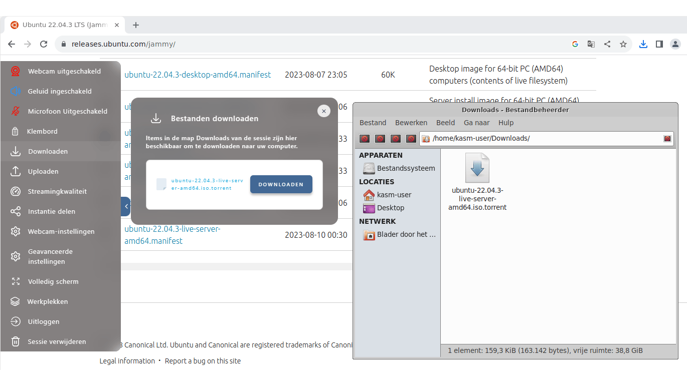 Gedownloade bestanden kun je via een speciaal menu ophalen uit de container.
