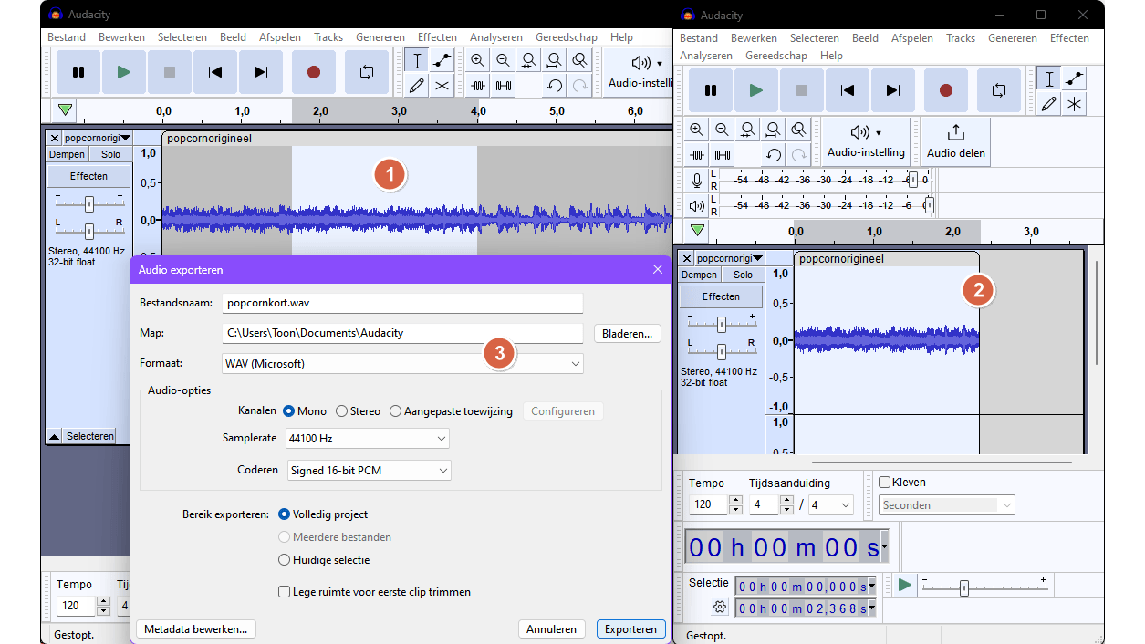 Audacity is een alleskunner: trimmen en converteren is zo gepiept.