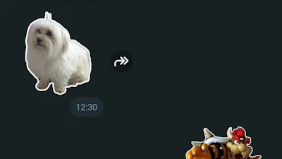 Zelf stickers maken met WhatsApp doe je zo