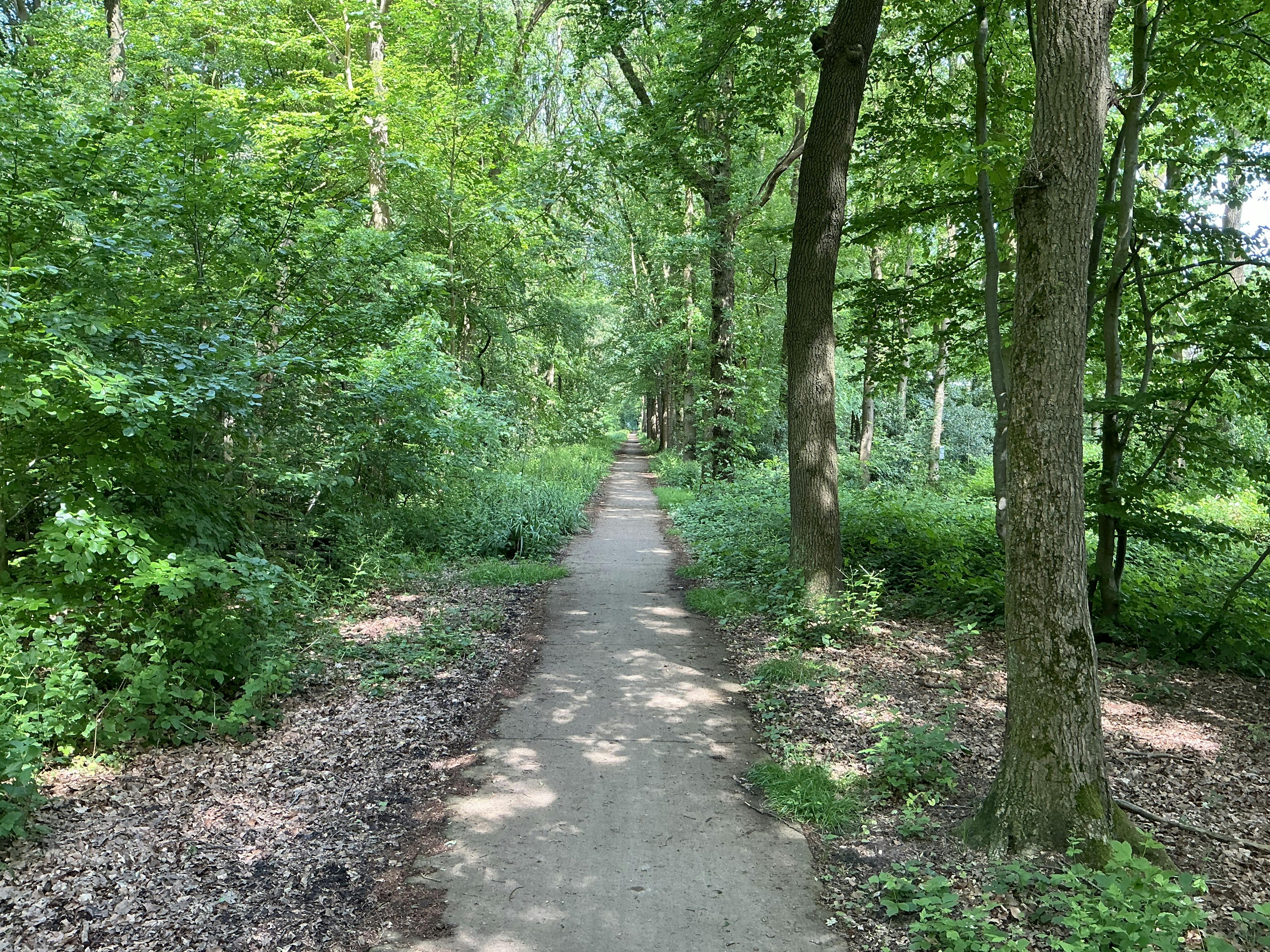 Een foto van de achtercamera van de iPad Air (2024).