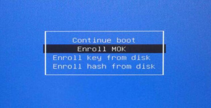Via de MOK-manager een module ondertekenen voor secure boot.