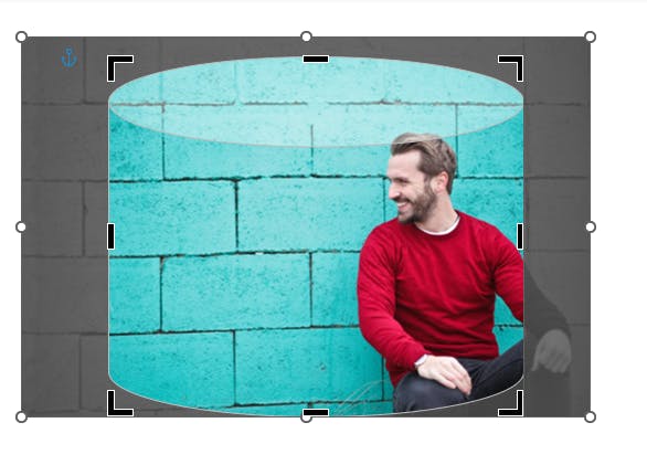 Je kunt zowel de uitsnede als de inhoud nauwkeurig aanpassen.