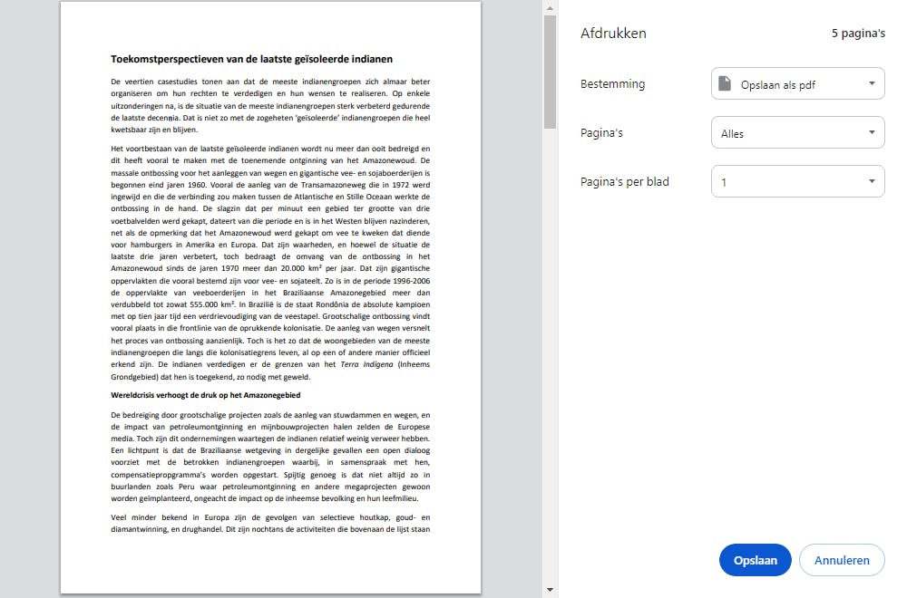 Kies in Chrome de optie Afdrukken als PDF.
