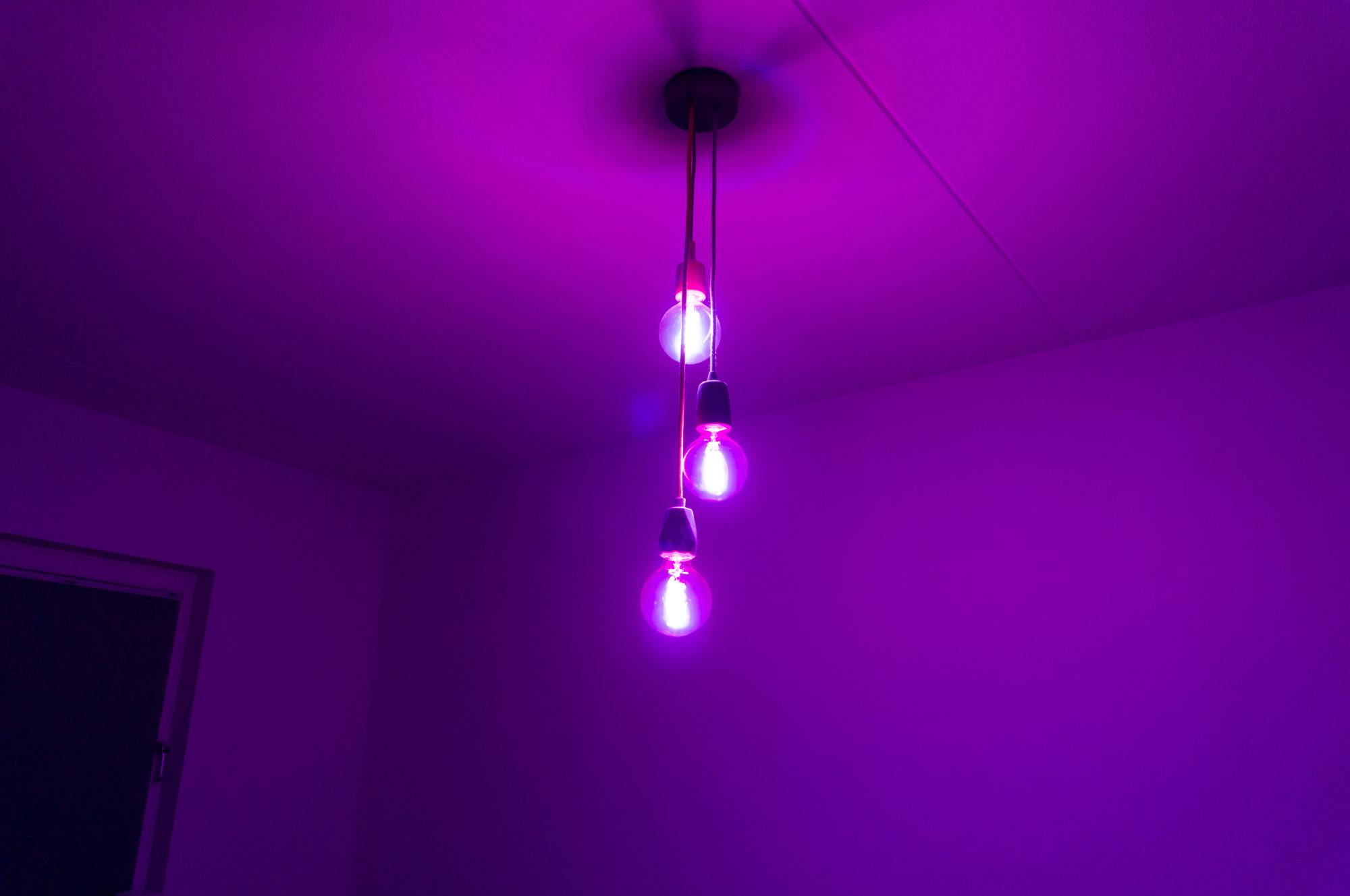 Paulmann filament RGBW.