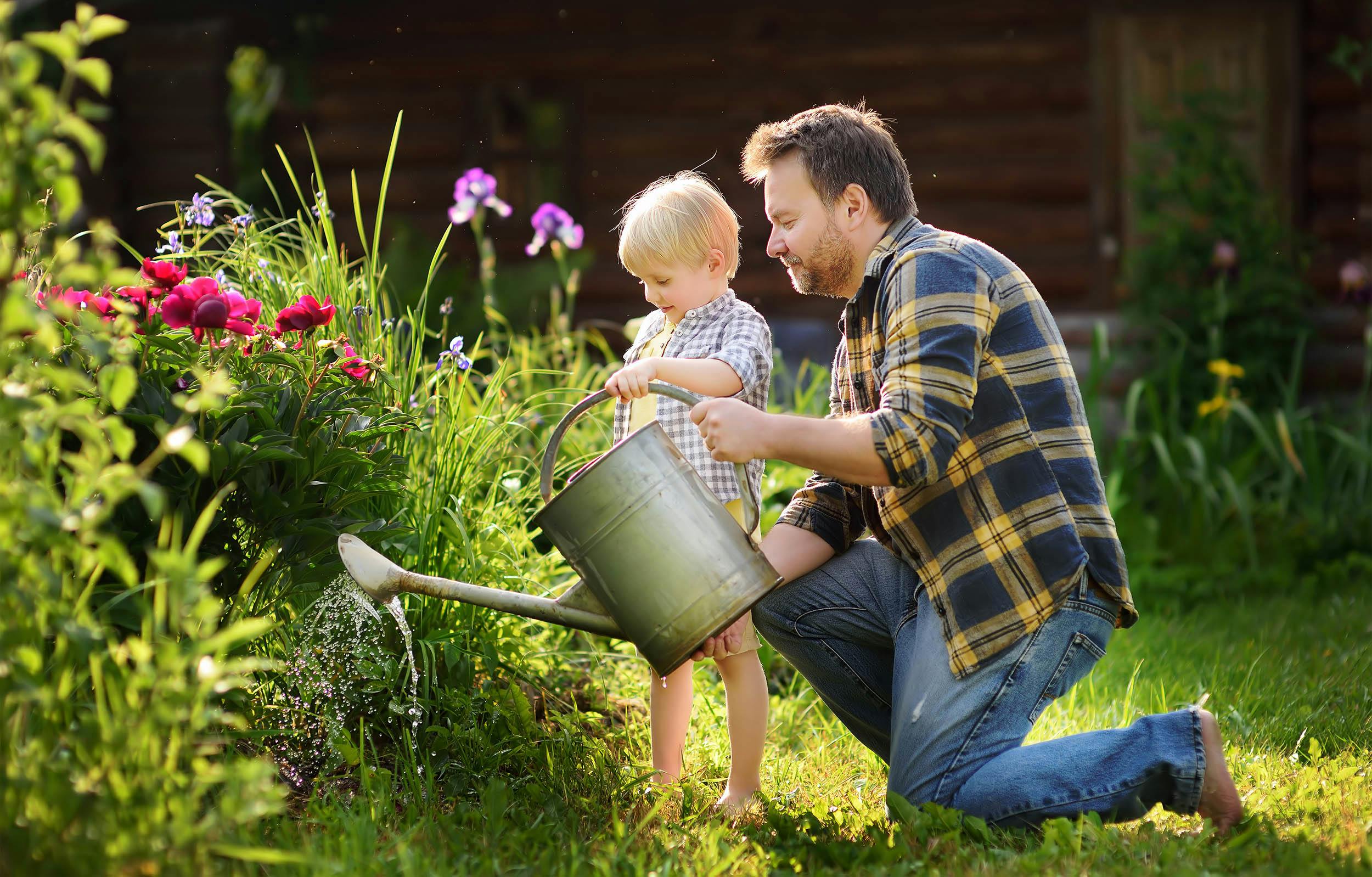 Tuinonderhoud in juli: je to do’s voor langere bloei en groei