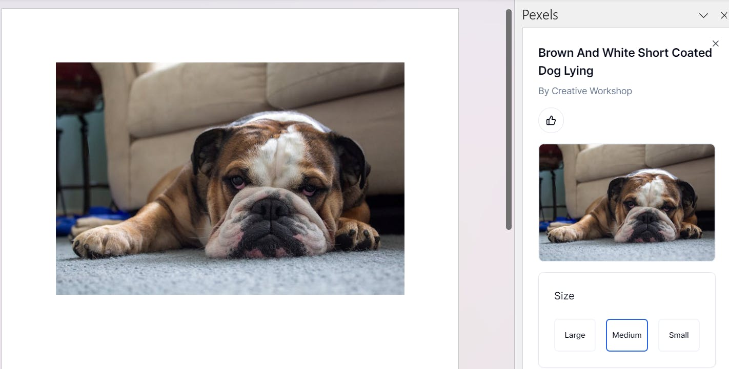Selecteer de gewenste resolutie van de afbeelding.
