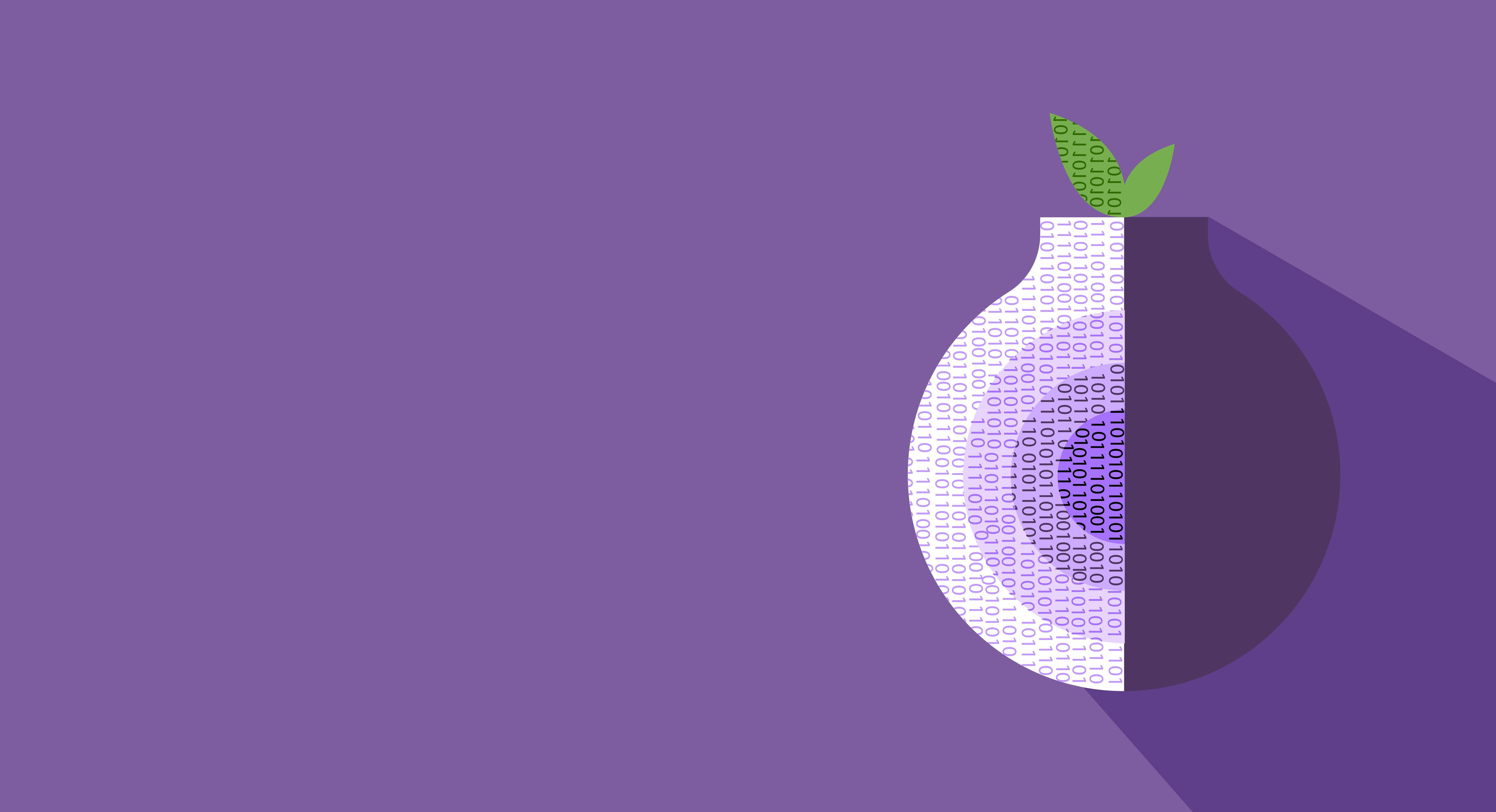 Tor Browser: voor als je online privacy je lief is