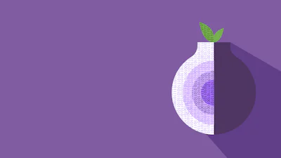 Tor Browser: voor als je online privacy je lief is